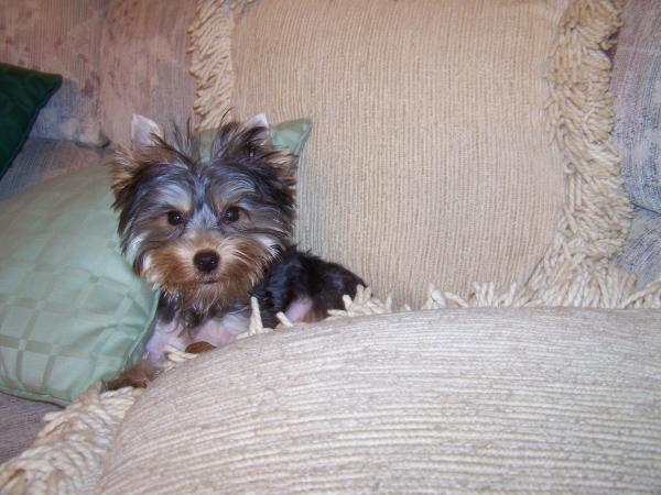 when I was a baby